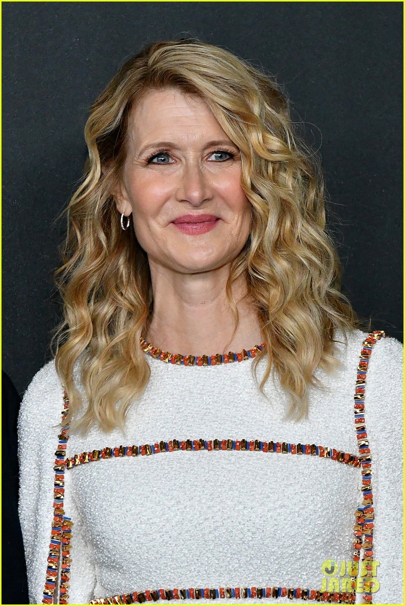 laura dern honored at moma event 024387281