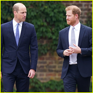 Body Language Expert Analyzes Prince William & Prince Harry's Behavior at Statue Unveiling, Reveals If There Are 'Micro Expressions' of Emotion