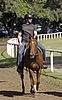hugh jackman horseback riding 02