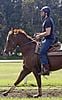 hugh jackman horseback riding 05