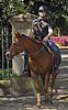 hugh jackman horseback riding 06