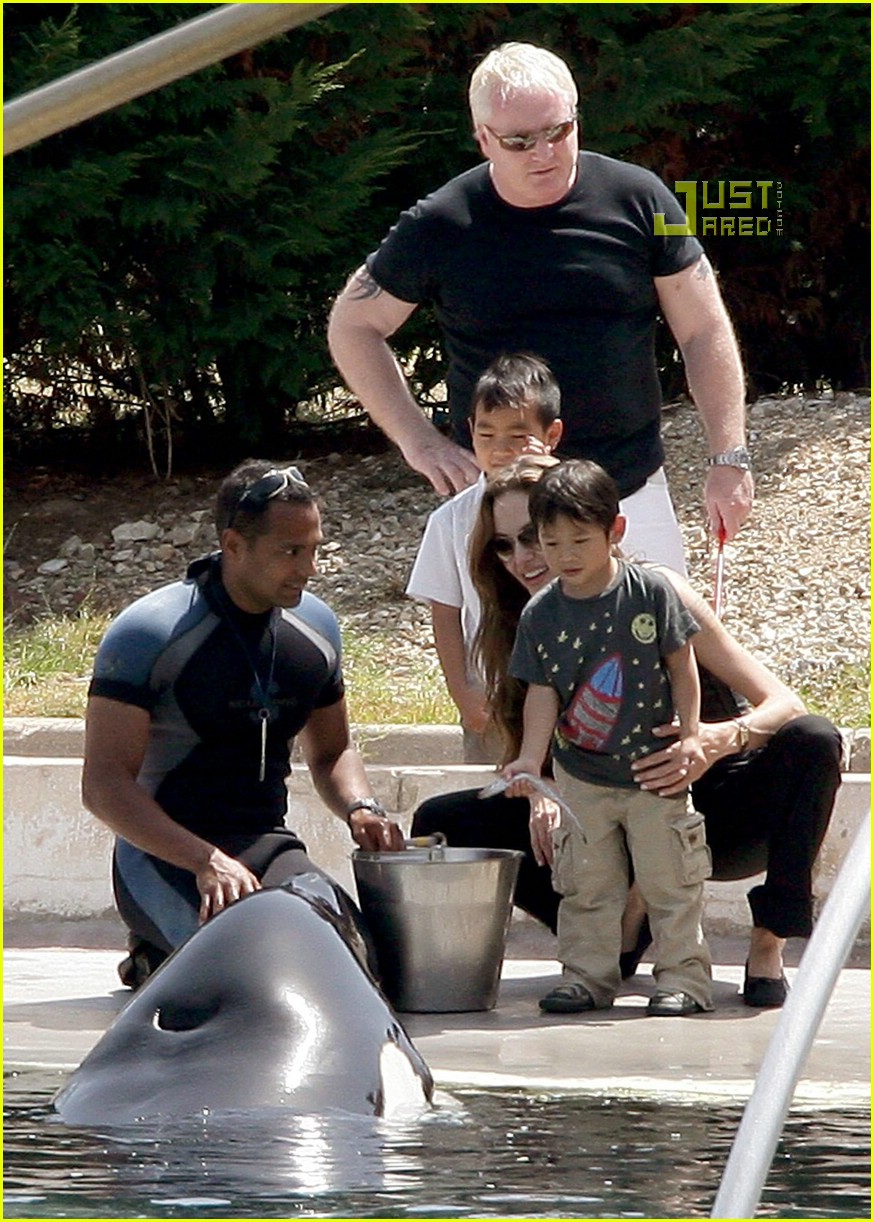 Happy Birthday, Pax Jolie-Pitt!: Photo 766971 | Angelina Jolie, Brad