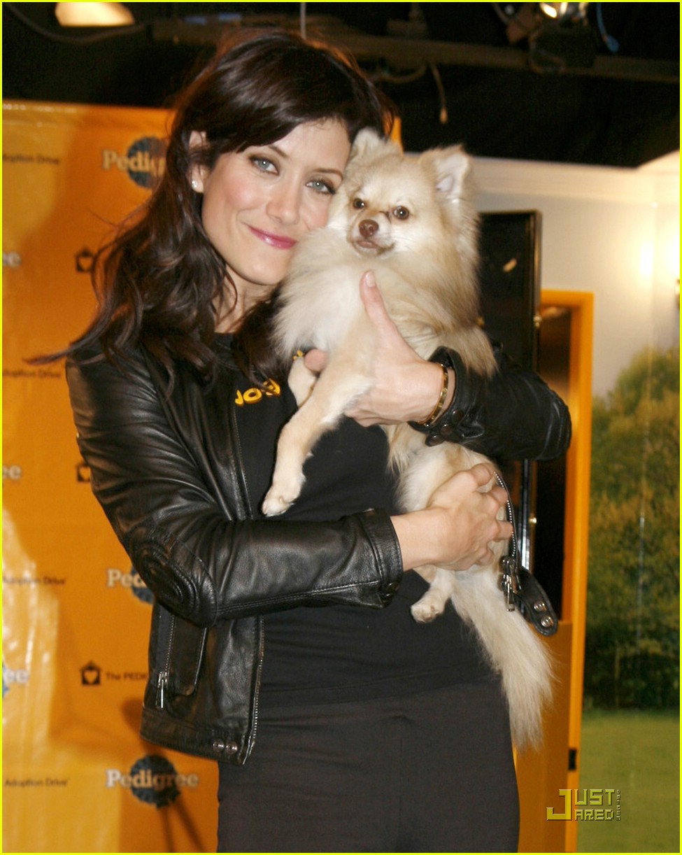 kate walsh dogs rule 01915761