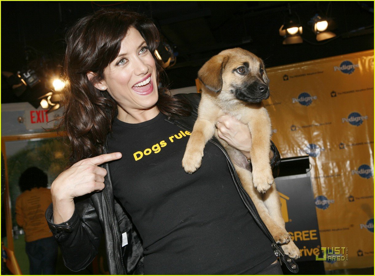 kate walsh dogs rule 06915811