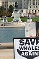 hayden panettiere saves the whales again 08