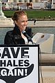hayden panettiere saves the whales again 10