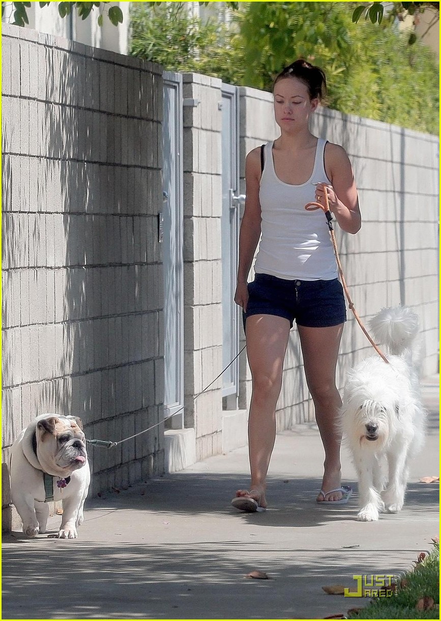 olivia wilde pooch passion 072114511