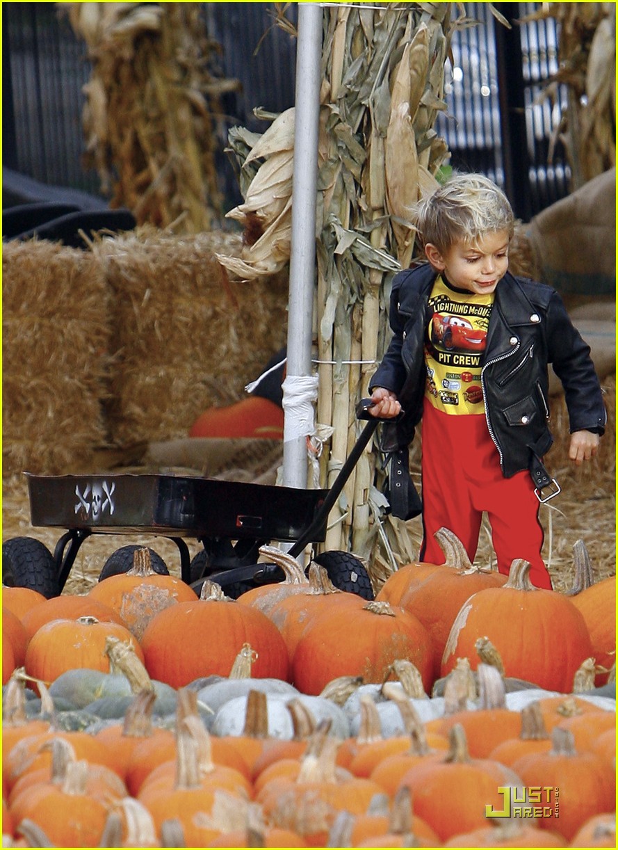 Kingston & Zuma Rossdale Pumpkin Picking Kids Photo 2319361(01)