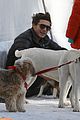 zac efron plays with dogs aspen 09