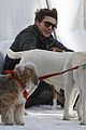 zac efron plays with dogs aspen 14