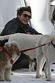 zac efron plays with dogs aspen 16