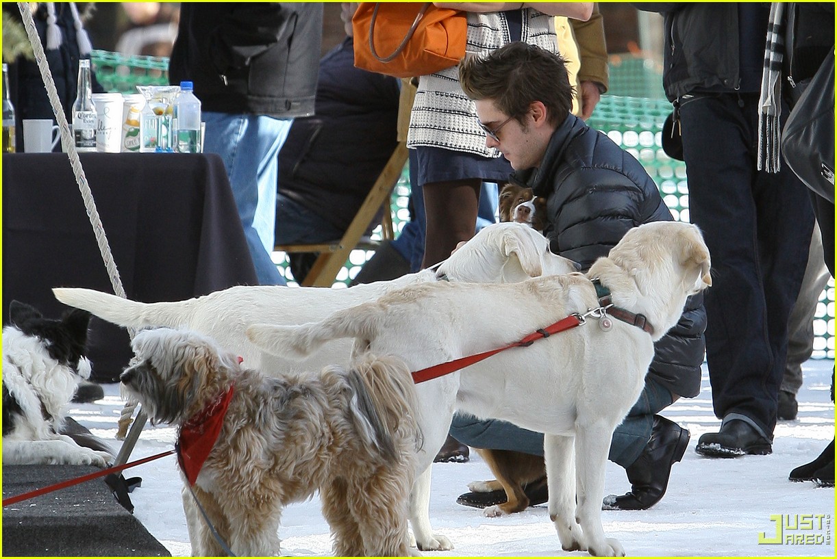 zac efron plays with dogs aspen 022403066