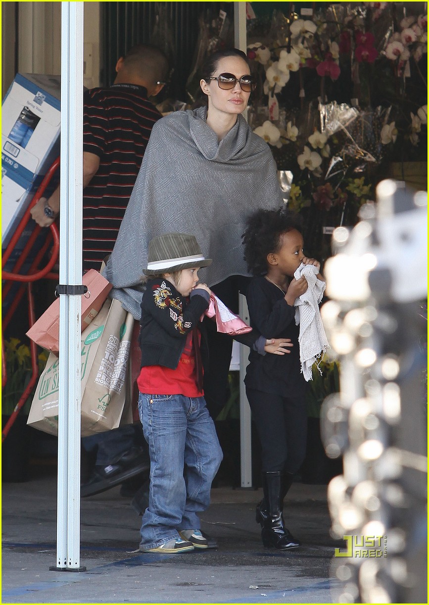 angelina jolie whole foods grocery shopping 012408698
