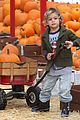 kingston zuma pumpkins 07