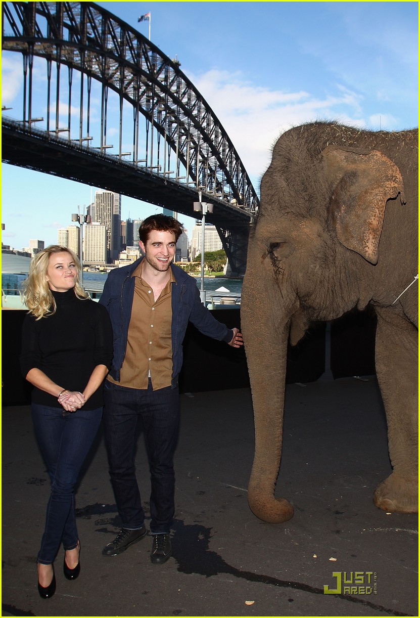 reese witherspoon elephants sydney press conference 032541447
