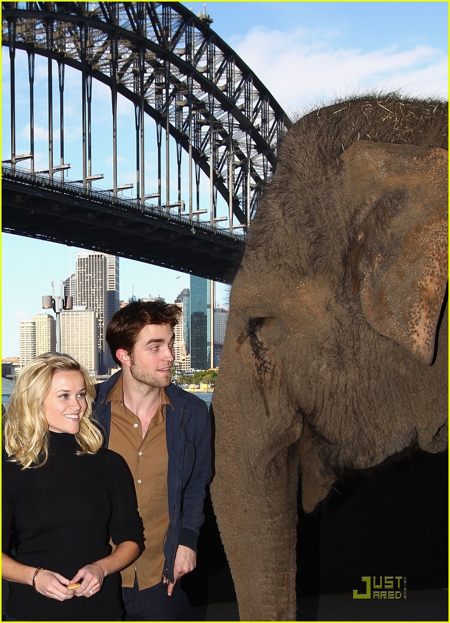 reese witherspoon elephants sydney press conference 082541452