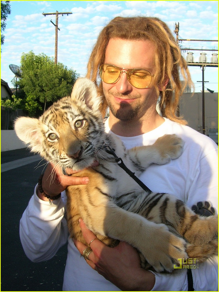 Bradley Cooper Tiger Cub Cuddling! Photo 2556717 Bradley Cooper