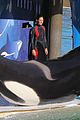 marion cotillard killer whales 03