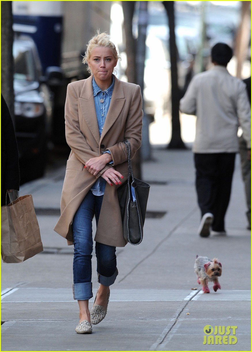 amber heard spy day with pink pooch 042642880