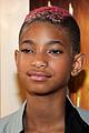 willow smith first position premiere 22