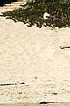 leann rimes bikini beach babe with eddie cibrian 38