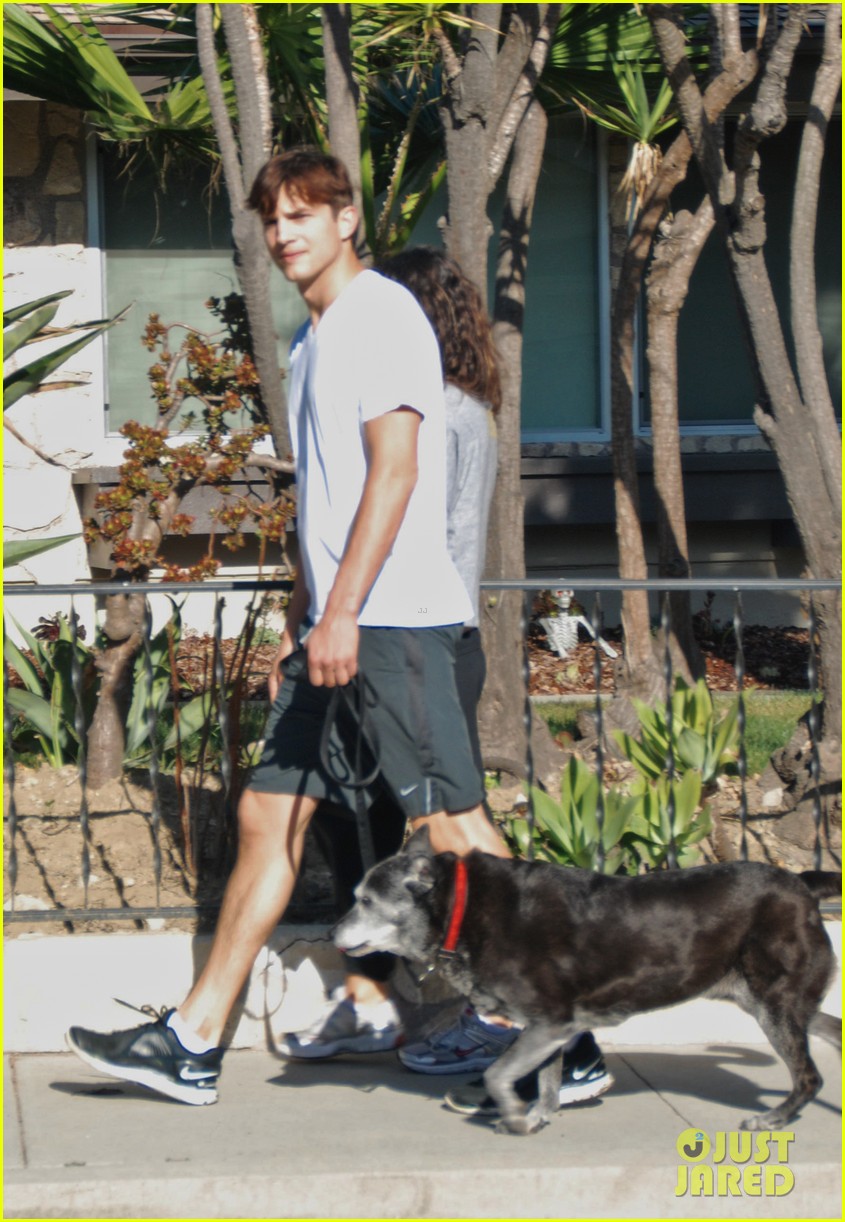mila kunis ashton kutcher dog walking duo 13