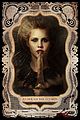 nina dobrev ian somerhalder new vampire diaries posters 07