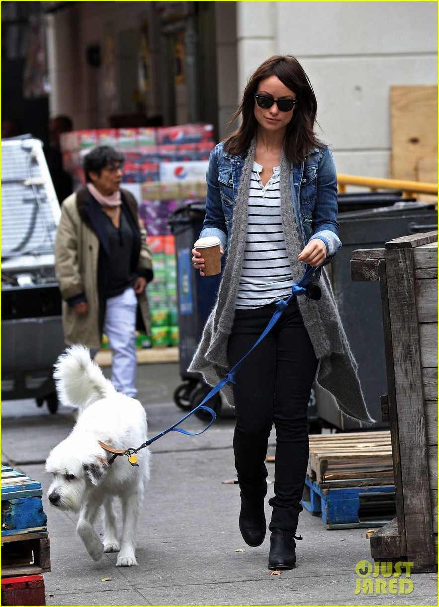 olivia wilde new york stroll with paco 082737503