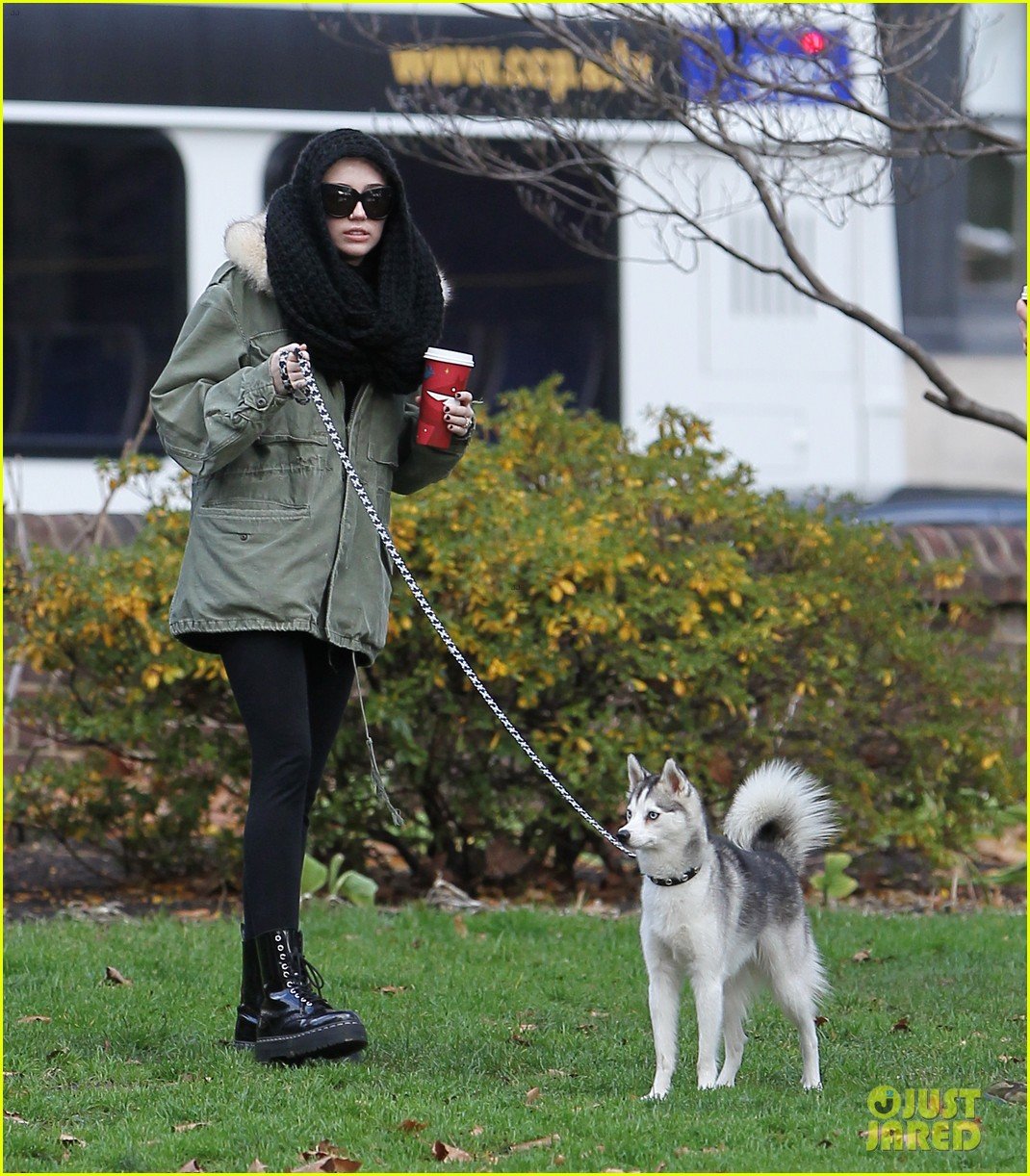 miley cyrus bundles up for philly dog walk 02