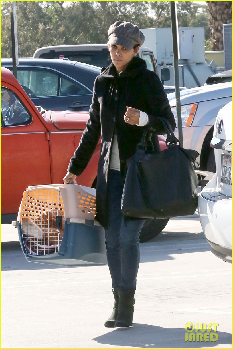 halle berry back at the vet with pet cat 102801872