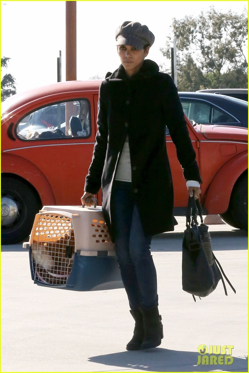 halle berry back at the vet with pet cat 11
