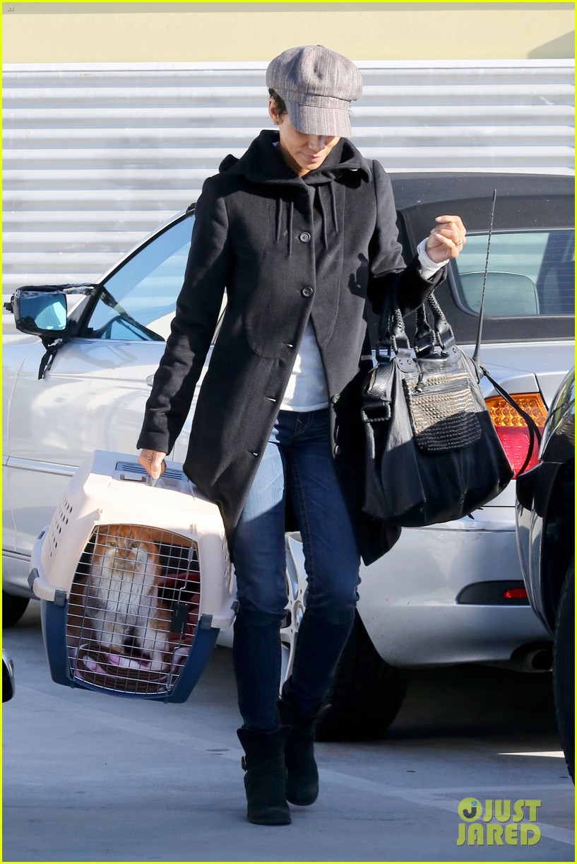 halle berry back at the vet with pet cat 142801876