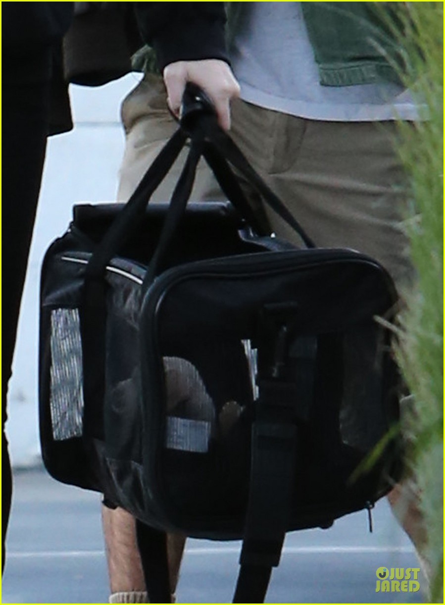 miley cyrus recording studio session with pet pooch bean 04