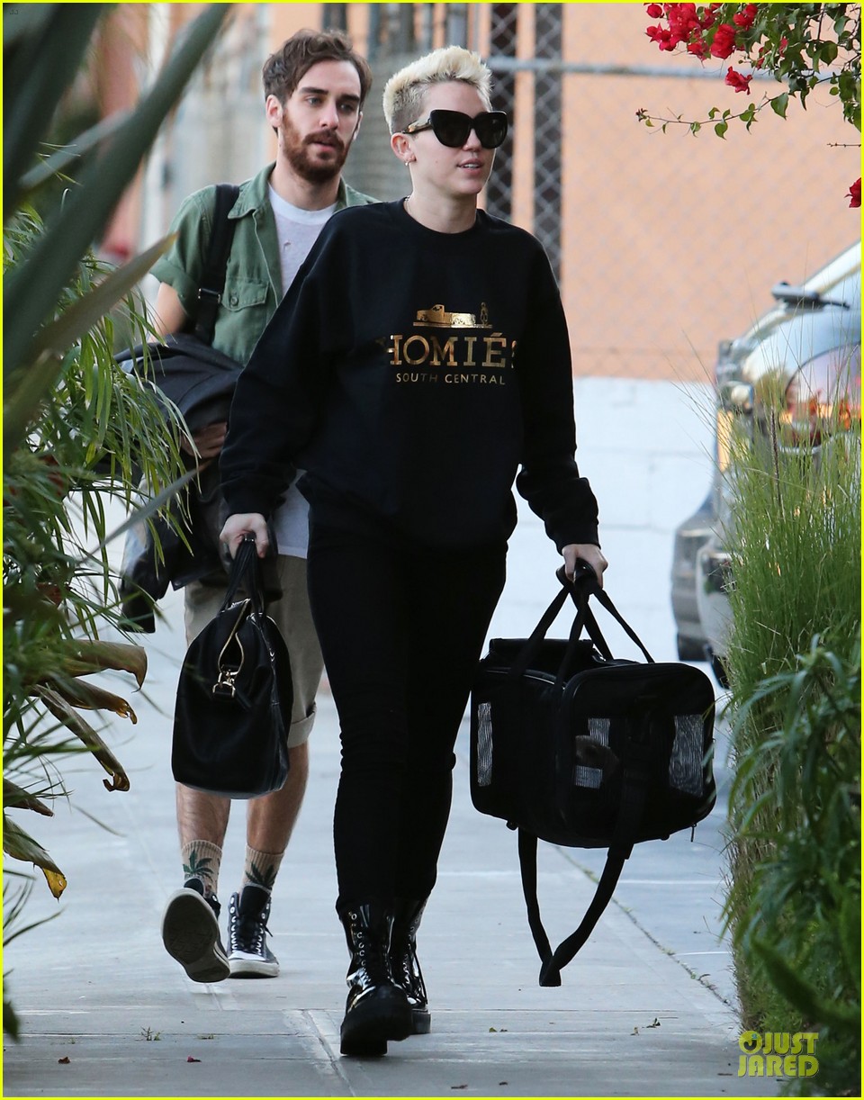 miley cyrus recording studio session with pet pooch bean 10