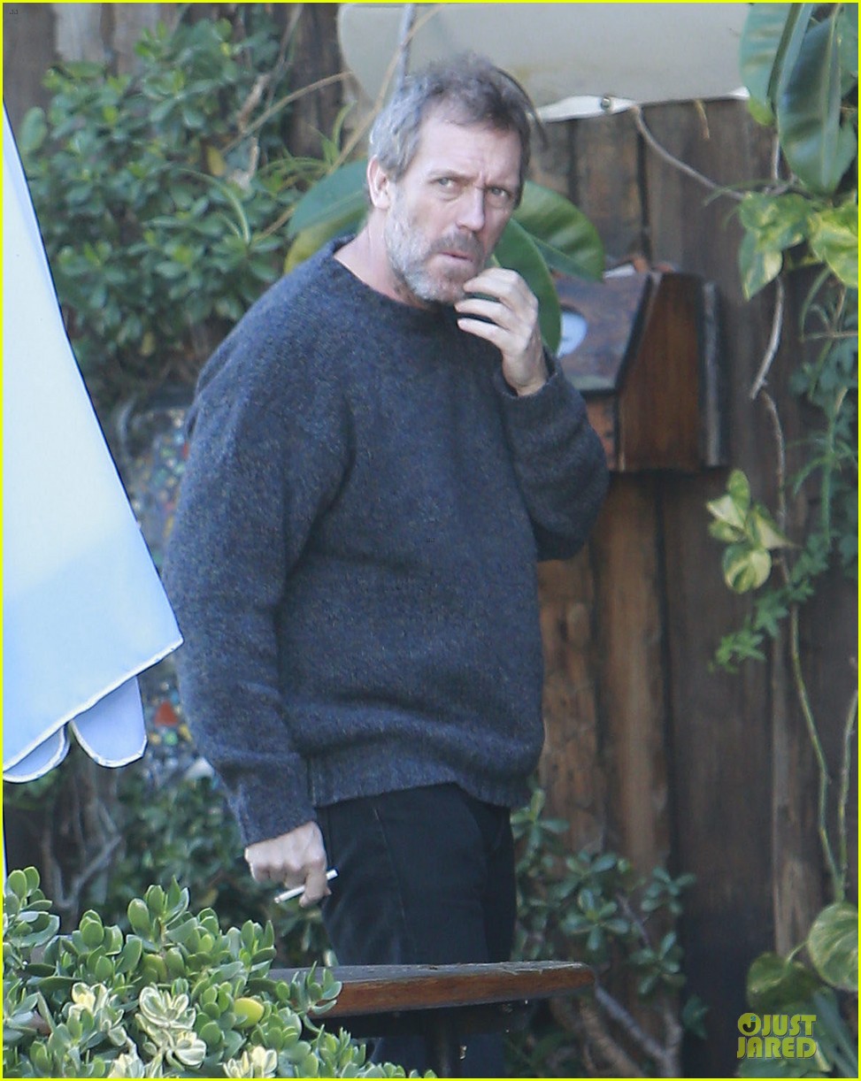 the oranges director fought for hugh laurie 02