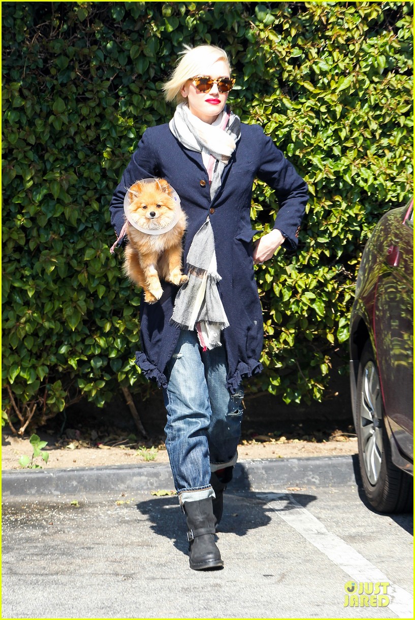 Gwen Stefani & Gavin Rossdale Indio Road Trip with the Boys! Photo