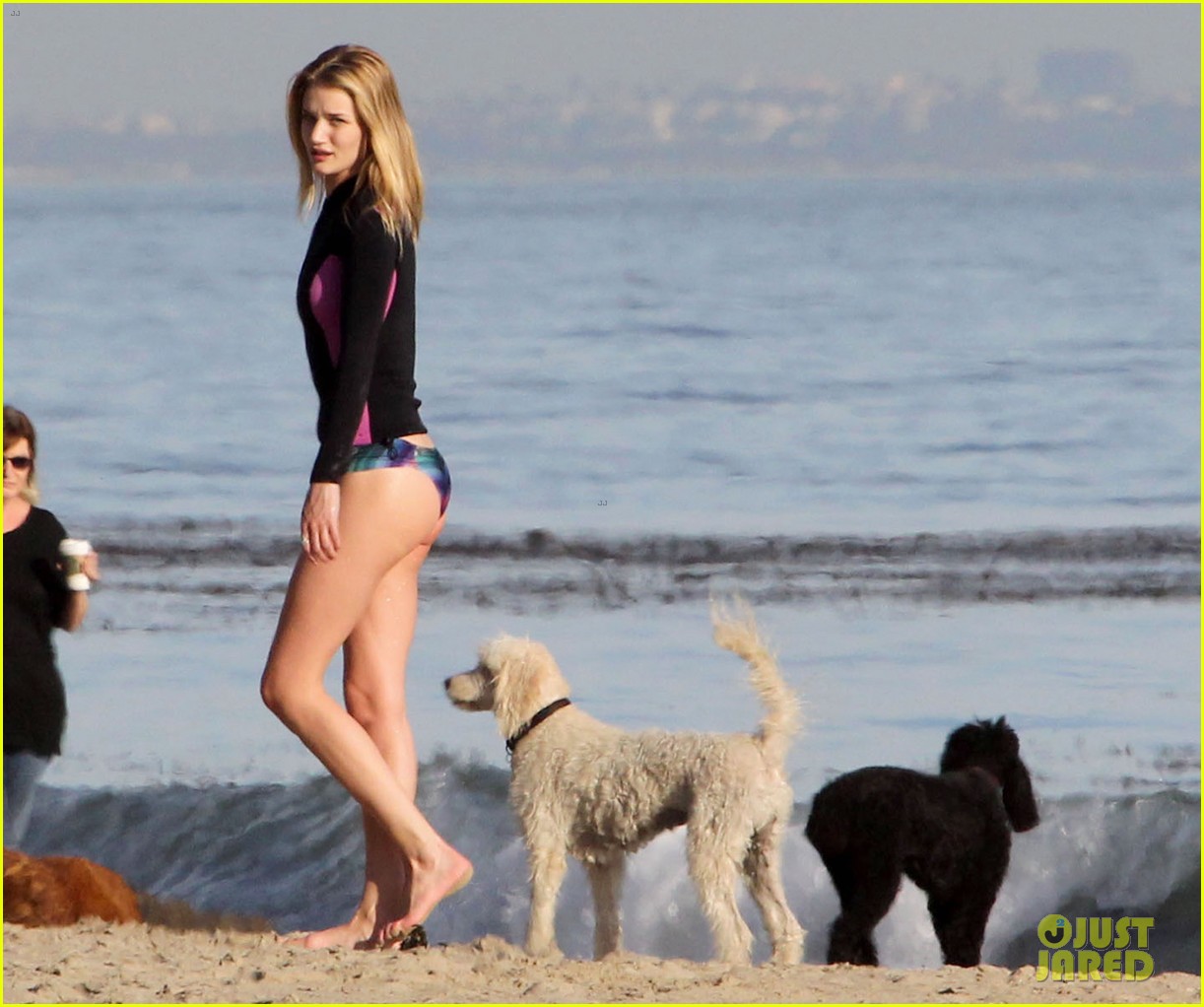 rosie huntington whiteley beach day with her pup 052823987