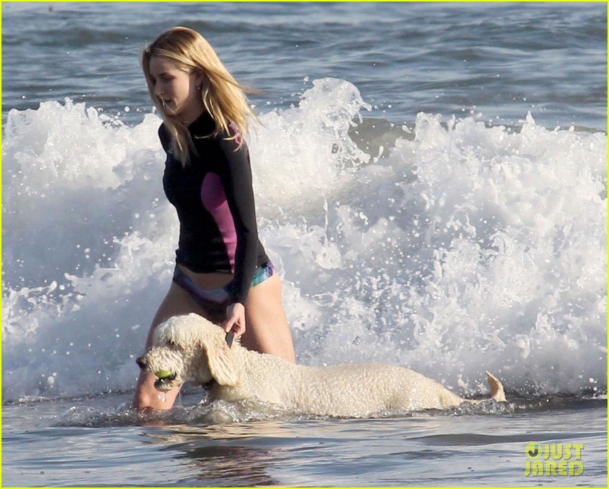 rosie huntington whiteley beach day with her pup 092823991