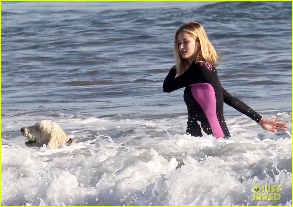 rosie huntington whiteley beach day with her pup 122823994