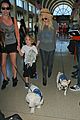 ashlee simpson bronx pups fly out of lax airport 01