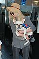 ashlee simpson bronx pups fly out of lax airport 02
