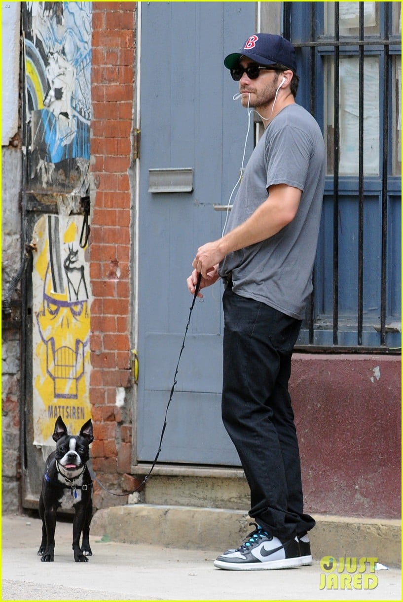 jake gyllenhaal takes his dog for a walk in nyc 212907450