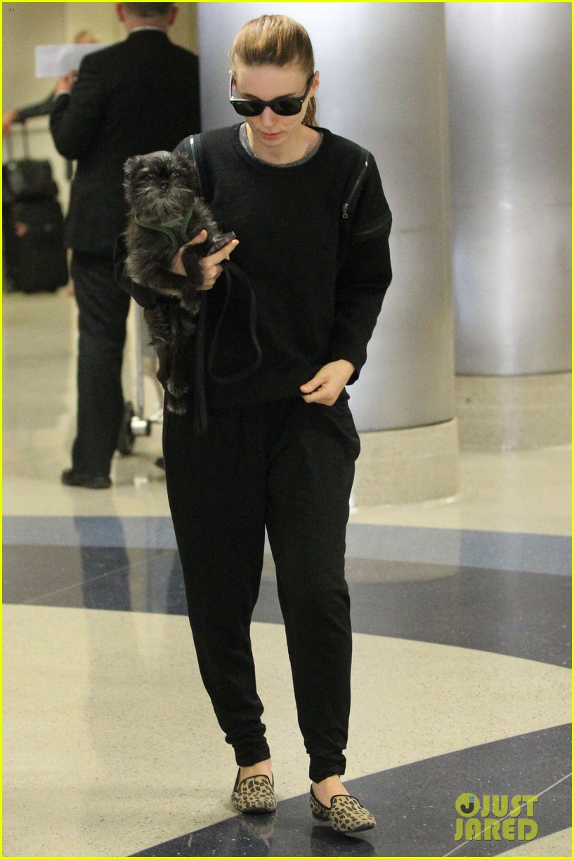 rooney mara holds pet pooch close at the airport 022960775