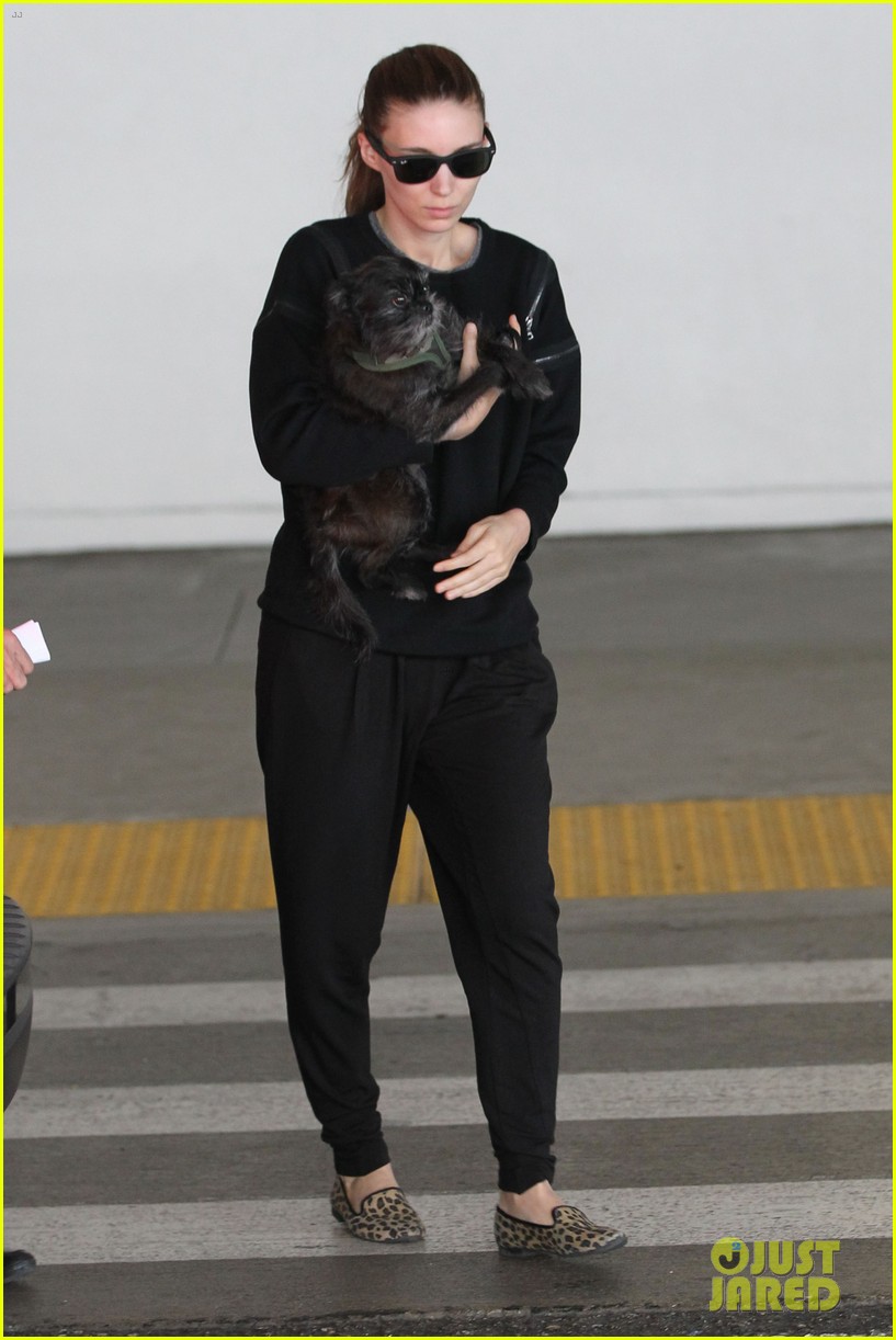 rooney mara holds pet pooch close at the airport 032960776