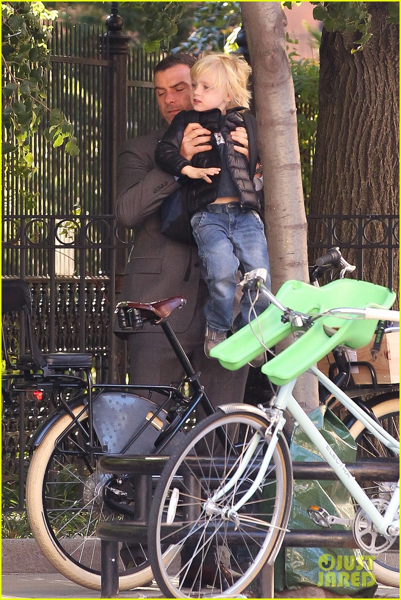 Liev Schreiber 'Ray Donovan' Hits Ratings High for Finale! Photo