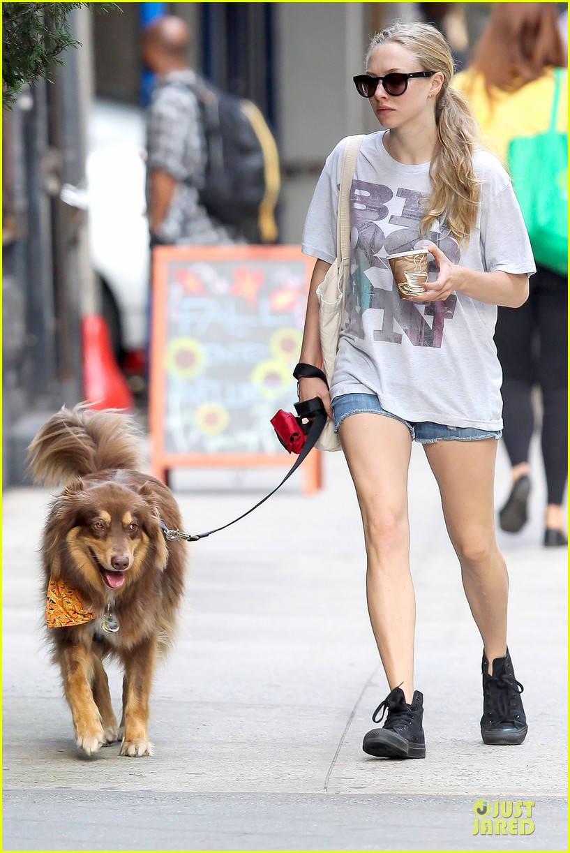 amanda seyfried tweets support for charity pups 082966269
