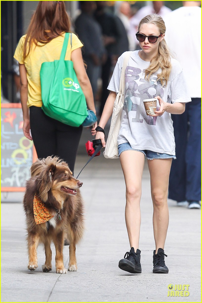amanda seyfried tweets support for charity pups 102966271