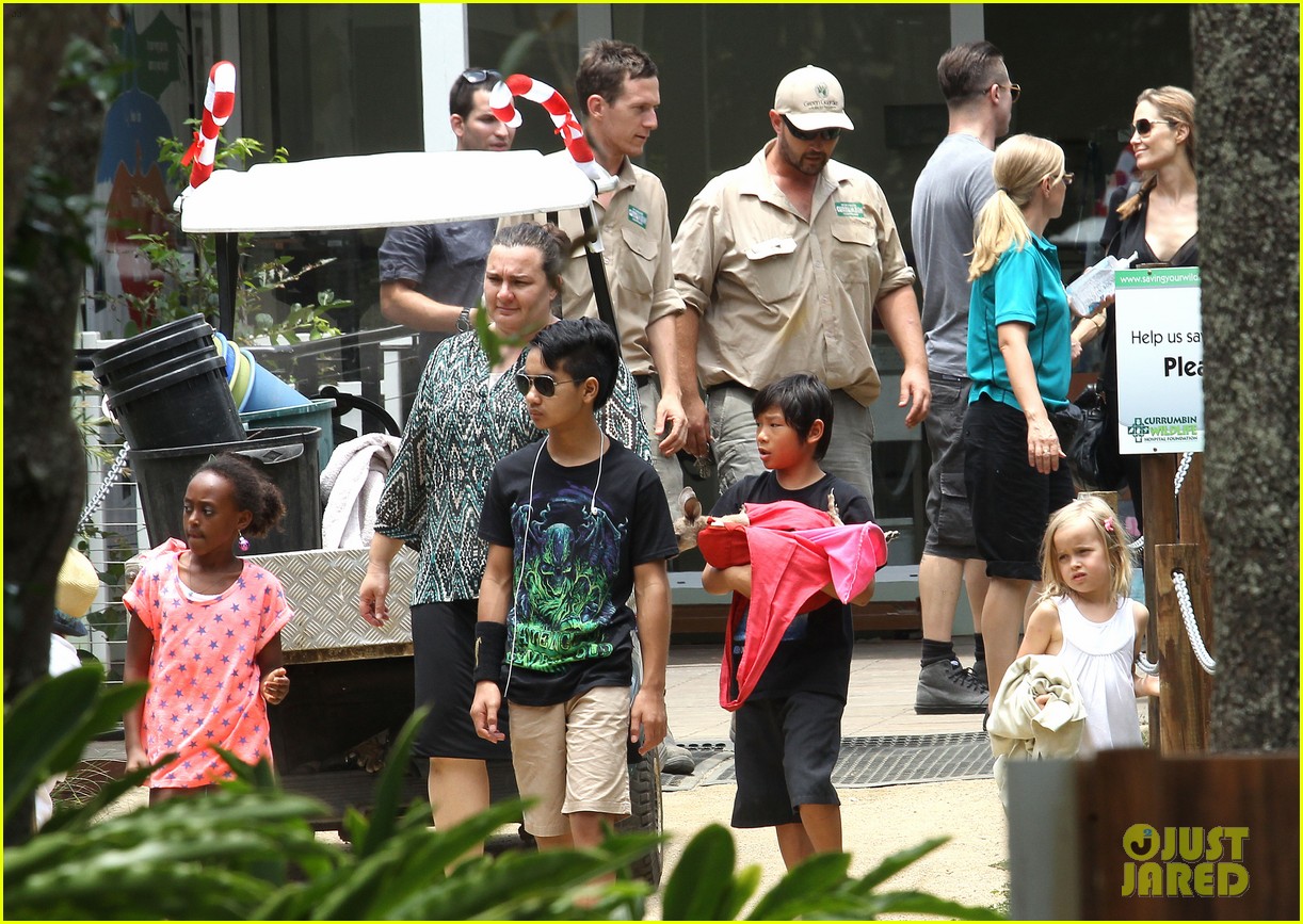angelina jolie brad pitt visit the zoo with all six kids 673018303