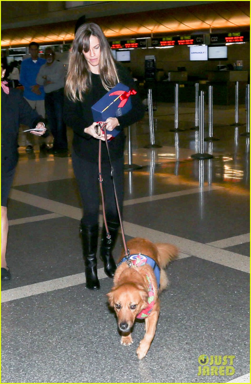hilary swank walks dog through airport causes fan frenzy 03