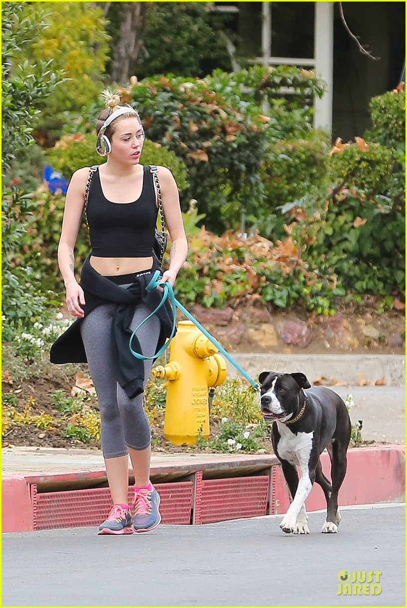 miley cyrus bares midriff for mary jane 023024605